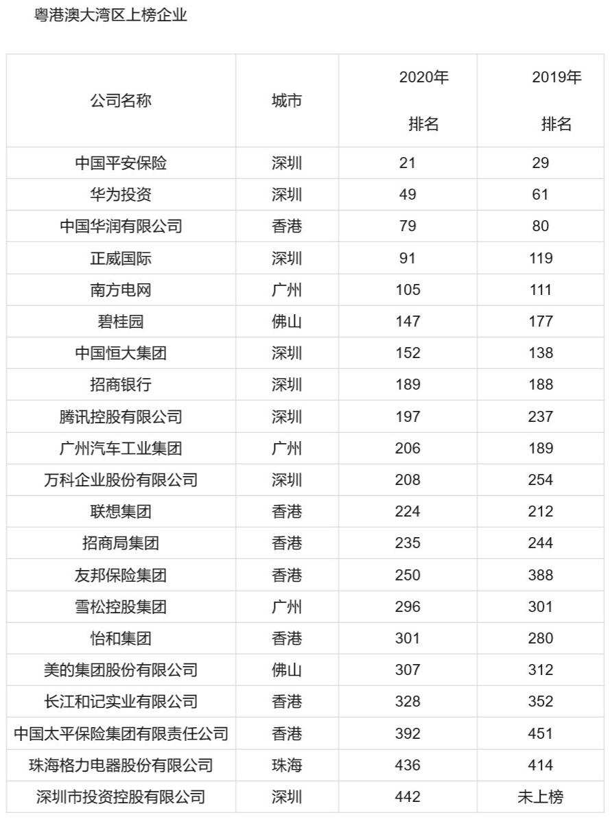 广东欧耐思实业有限公司，深度解析其在澳门及粤港澳大湾区的角色与贡献