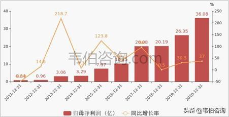 广东血印集团有限公司，深度解析其发展历程与多元业务布局