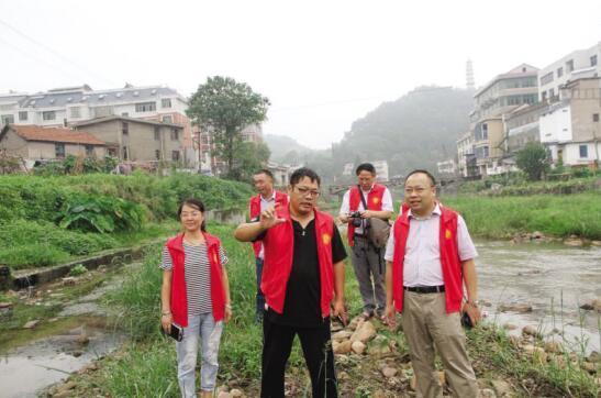 广东鼎浮有限公司，澳门视野下的深度解析