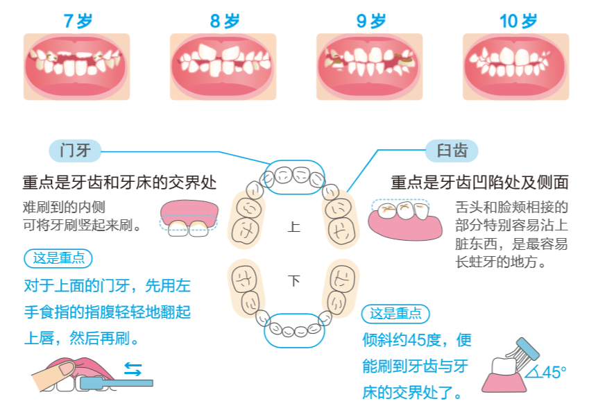 宝宝几个月可以开始刷牙，澳门专家为您解读