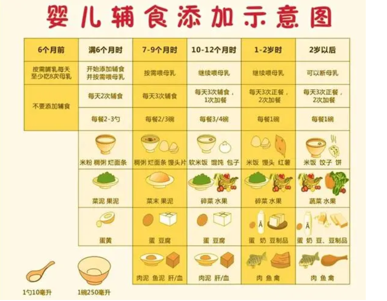 澳门专家解读，宝宝九个月时的营养食谱设计