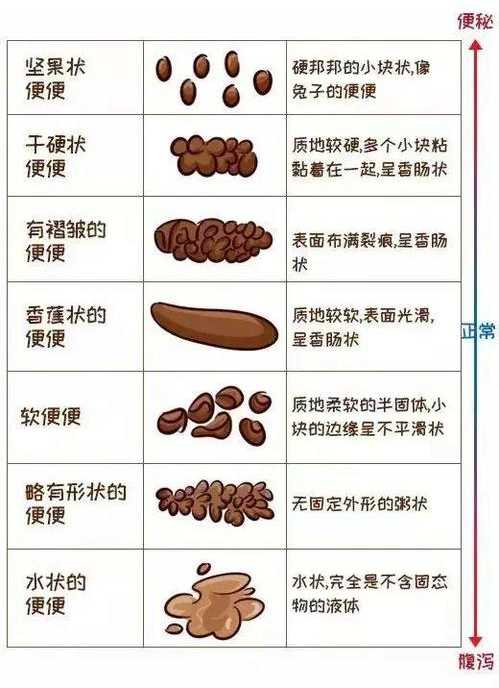 澳门知识专家解读，三个月婴儿大便带血丝的原因与应对策略