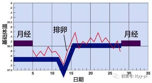 月经周期的解析与个体差异分析——以上个月8号来月经，这个月几号来为例