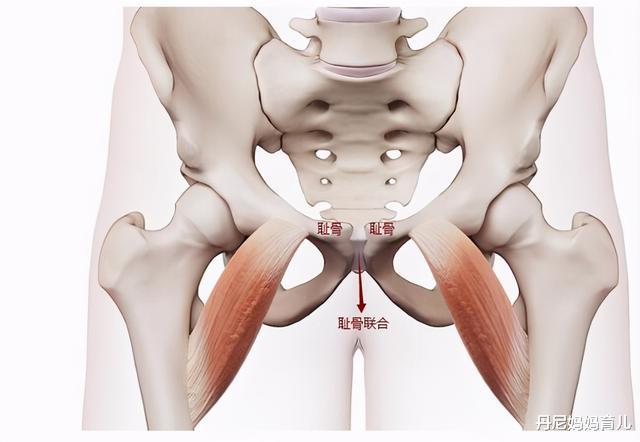 孕四个月耻骨痛，原因、缓解与管理