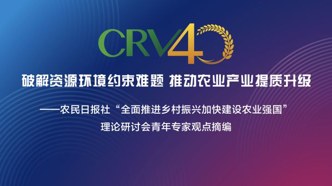 澳门专家视角下的武汉网易房产，发展趋势与创新战略