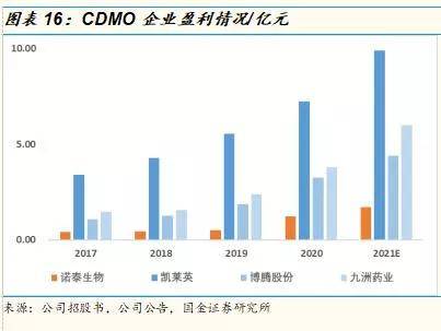 广东昆泰实业有限公司，深度解析其在澳门及周边的业务布局与发展战略