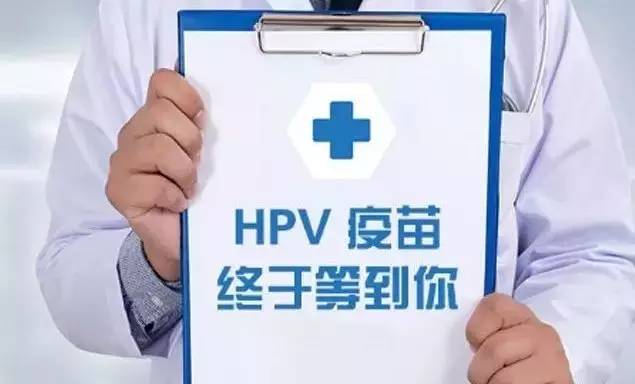 澳门专家解读，HPV疫苗第二针间隔四个月的科学性与实用性