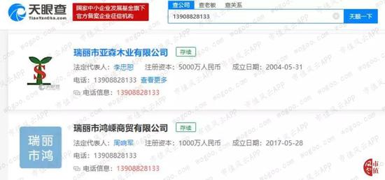 广东宜华控股有限公司，深度解析其在澳门及泛珠三角区域的发展策略与影响